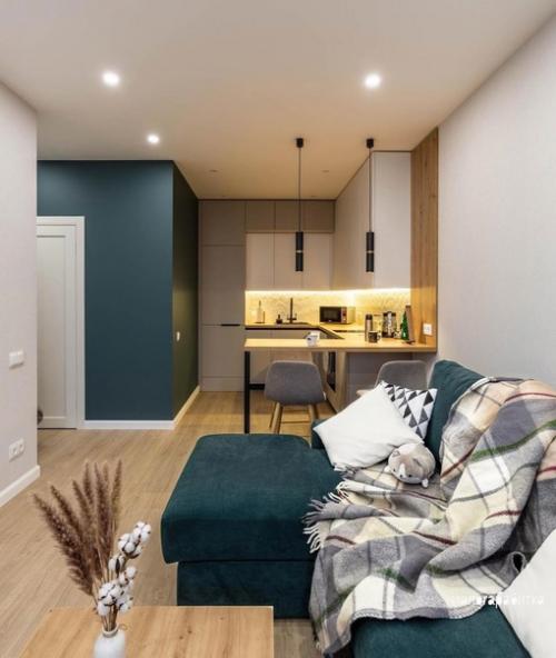 Интерьер кухни - гостиной.