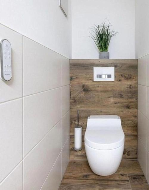 Различные варианты интерьера туалета. 03