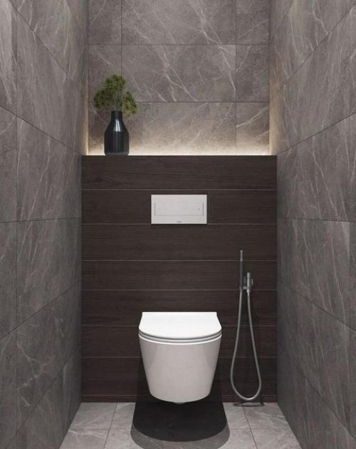 Различные варианты интерьера туалета. 01