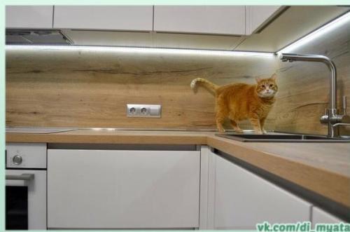 Преображение небольшой кухни. 06