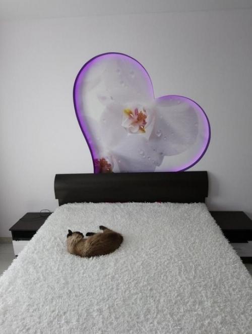 Уютная спальня. В современном стиле. 04