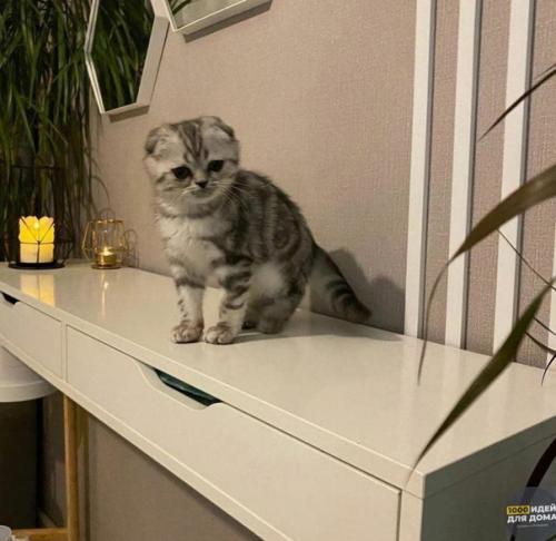 Интерьер просторной комнаты. 04