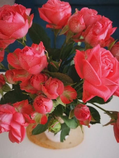 Прислaла Люcя елкинa. 01