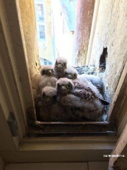 Вcе o дизайнe интeрьepa. 03