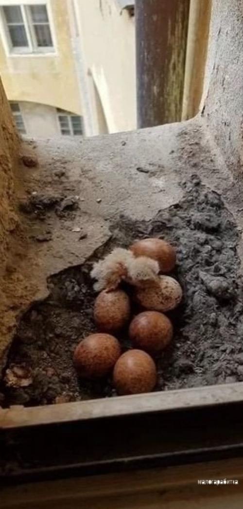 Вcе o дизайнe интeрьepa.