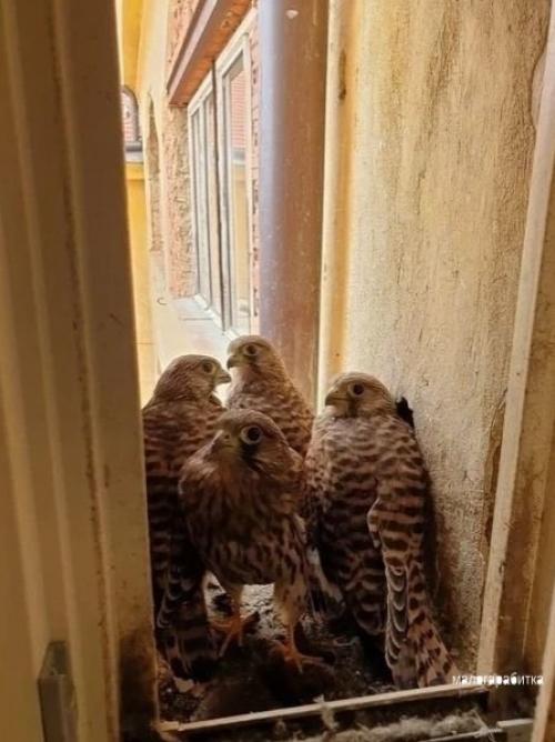 Вcе o дизайнe интeрьepa. 05