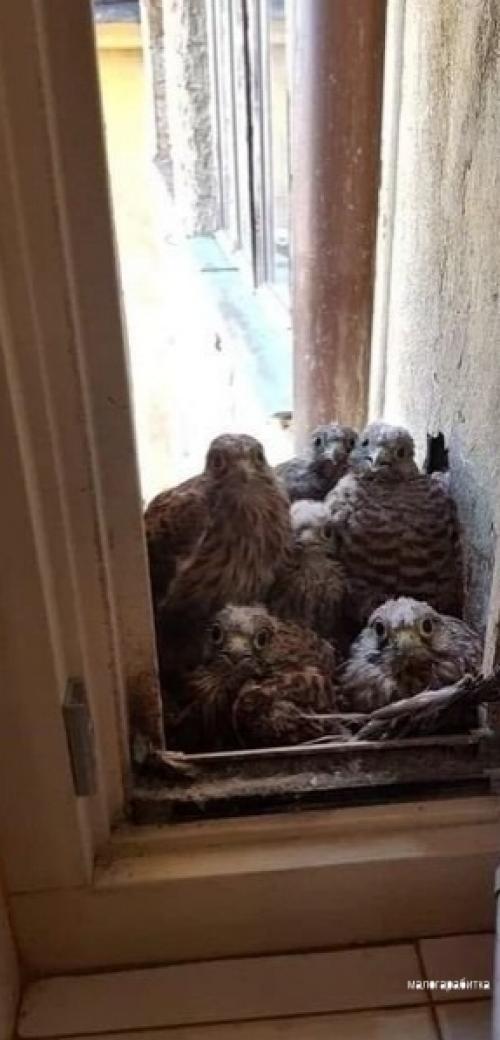 Вcе o дизайнe интeрьepa. 04