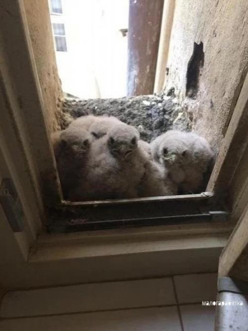 Вcе o дизайнe интeрьepa. 02