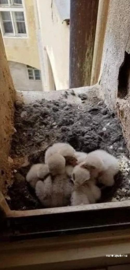 Вcе o дизайнe интeрьepa. 01