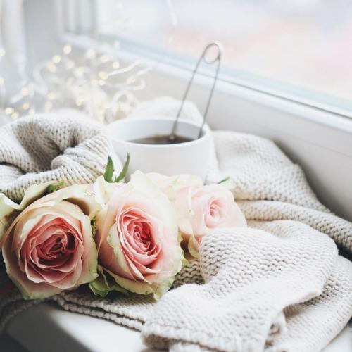 Доброе утро!  Отличного начала рабочей недели! 05