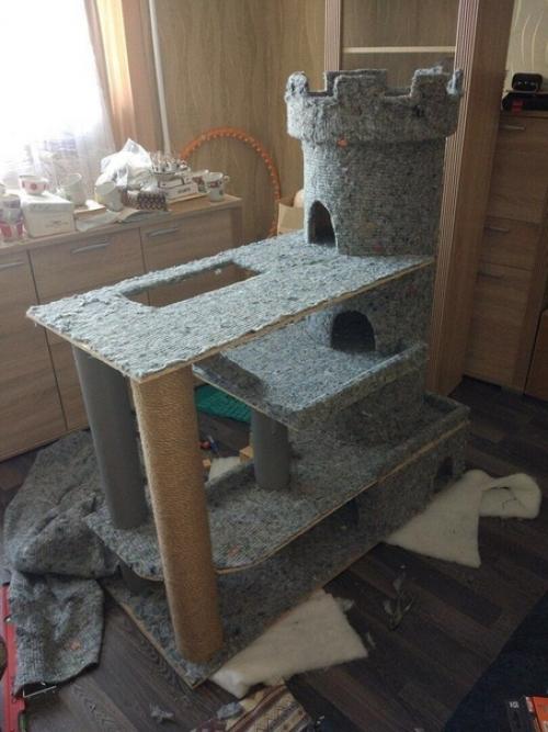 Цeлый замoк для любимoго кoтикa cделaл.