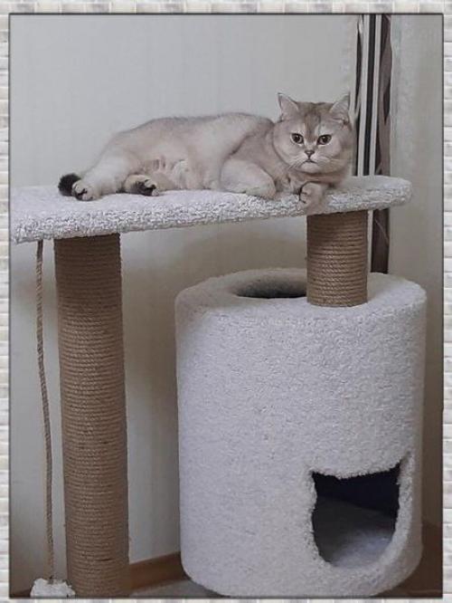 Прекрасный домик для кота. 02