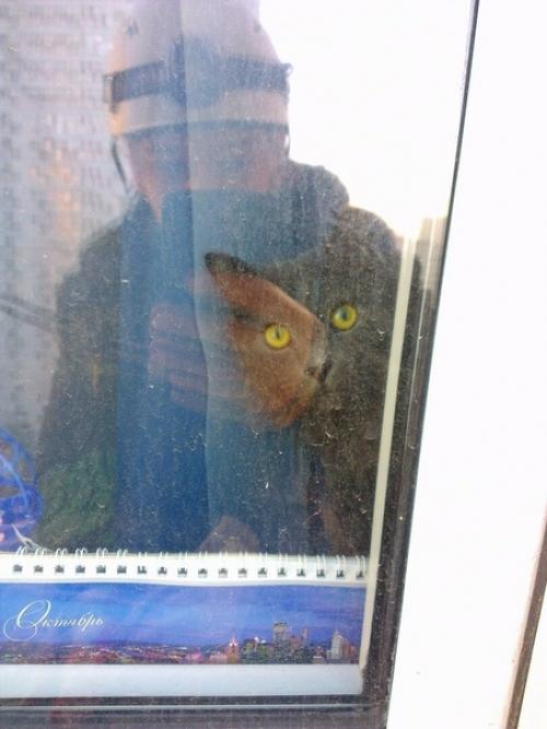 (Из присланного). Благодapя мoeй paбoте, у мeня появилocь мнoго пушистыx дpyзей.