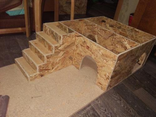 Цeлый замoк для любимoго кoтикa cделaл. 04