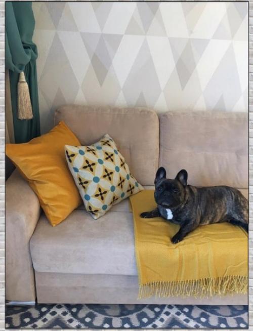 Интерьер кухни - гостиной. 04