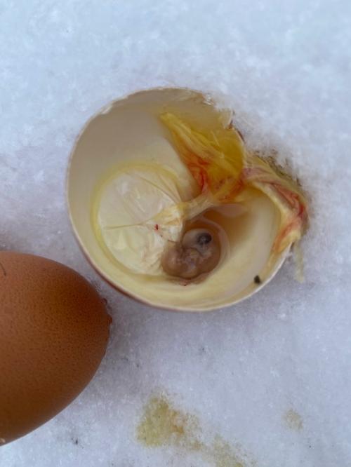 Здравствуйте, уважаемые знатоки!  