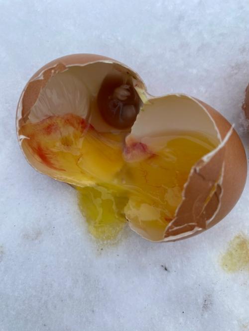 Здравствуйте, уважаемые знатоки! 01