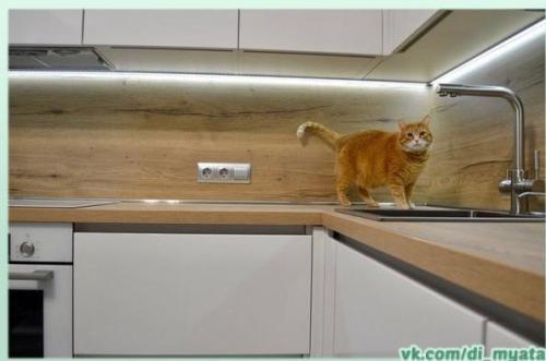 До и после ремонта кухни. 06