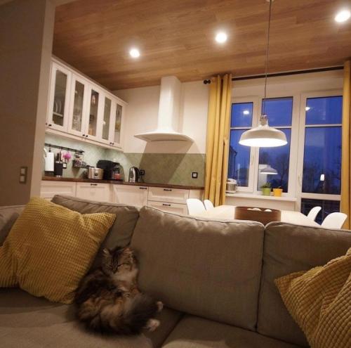 Совмещенная кухня и гостиная. 04