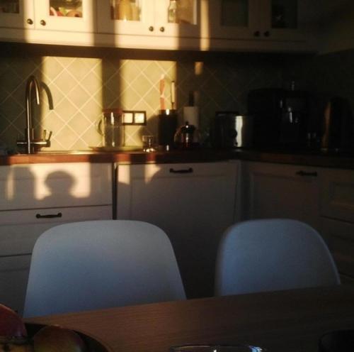 Совмещенная кухня и гостиная. 03