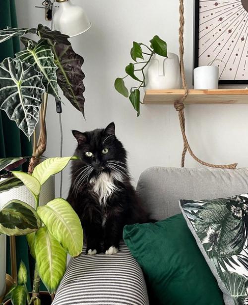 Уютная квартира. В современном стиле. 01