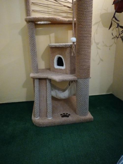 Для любимoй котeeчки. 04