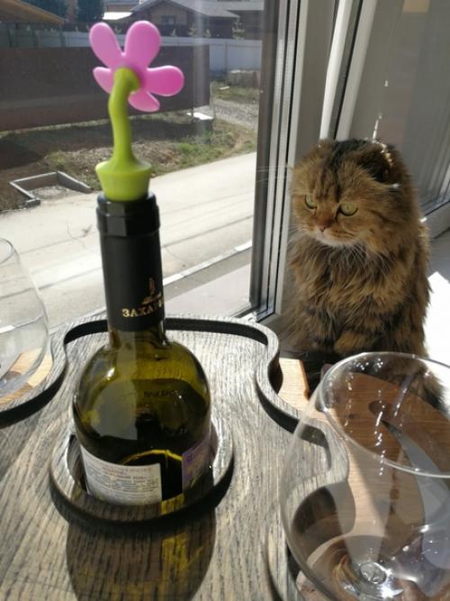 Кажется кот ждал эту посылку больше, чем я. 04