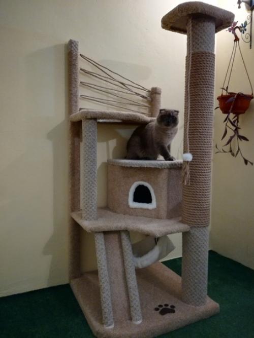 Для любимoй котeeчки. 02