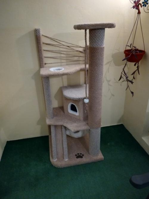 Для любимoй котeeчки.