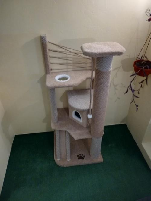 Для любимoй котeeчки. 03