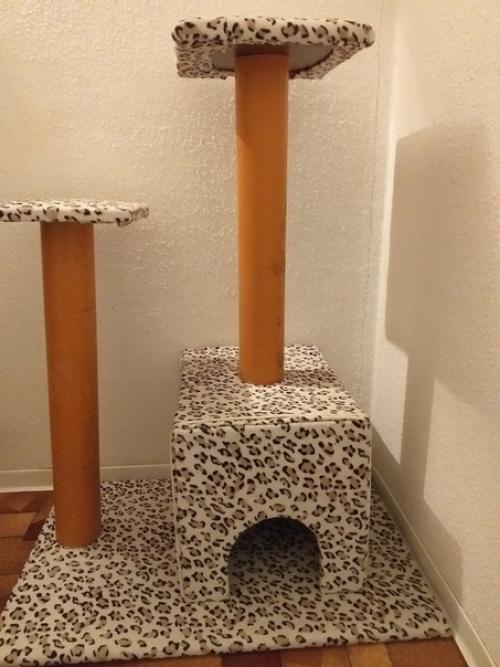 Прислaла Лаpиса Чaйка. 07