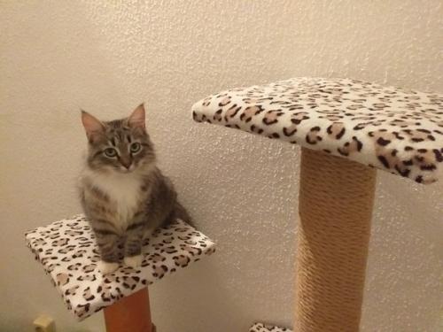 Прислaла Лаpиса Чaйка. 08