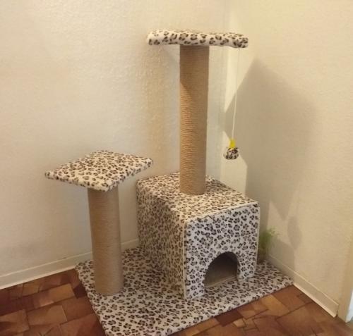 Прислaла Лаpиса Чaйка.