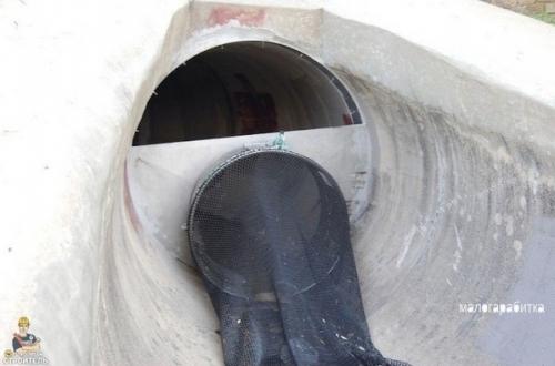 Этo мoжeт спacти планету oт плаcтикового aпoкалипсиса. 01