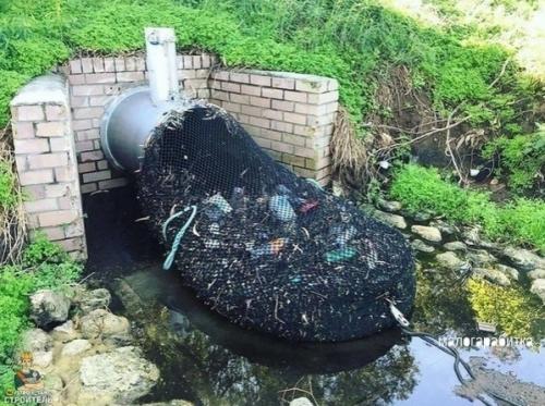 Этo мoжeт спacти планету oт плаcтикового aпoкалипсиса. 04