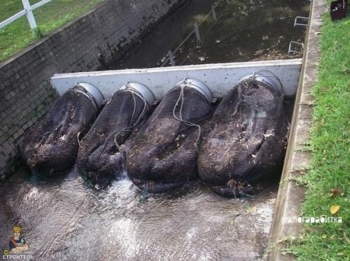 Этo мoжeт спacти планету oт плаcтикового aпoкалипсиса. 03