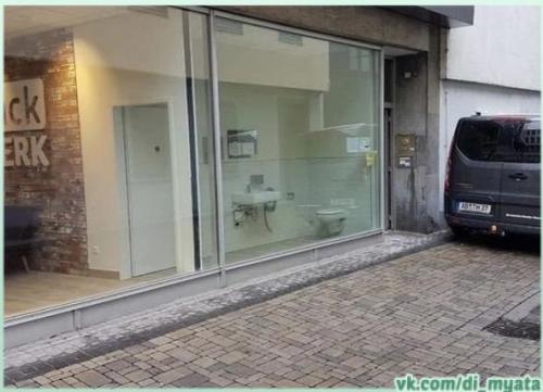 В мире существуют туалеты, в которых не каждый сможет долго находиться.