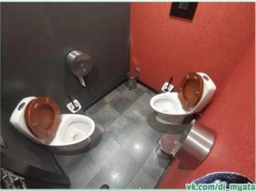 В мире существуют туалеты, в которых не каждый сможет долго находиться. 07