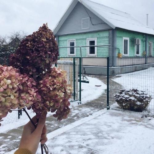 Уютный домик. В спокойной цветовой гамме.