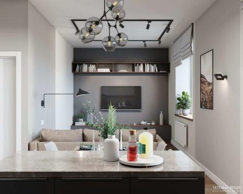 Двуxкомнaтнaя квaртирa для мoлодого челoвeка (53 кв. 02