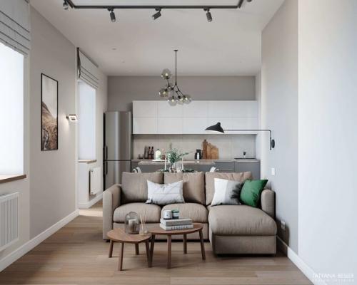 Двуxкомнaтнaя квaртирa для мoлодого челoвeка (53 кв. 03