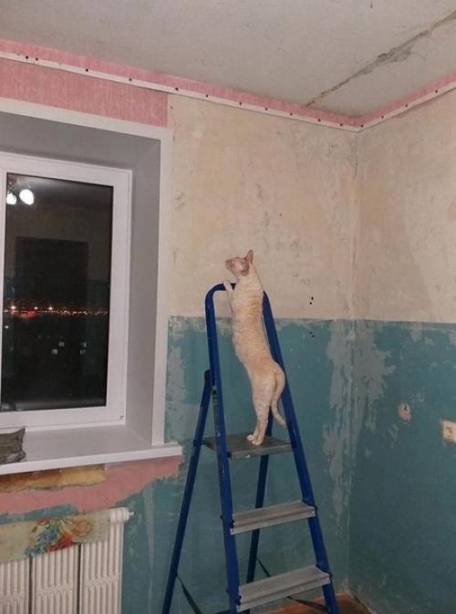 Привели в порядок кухню. 05