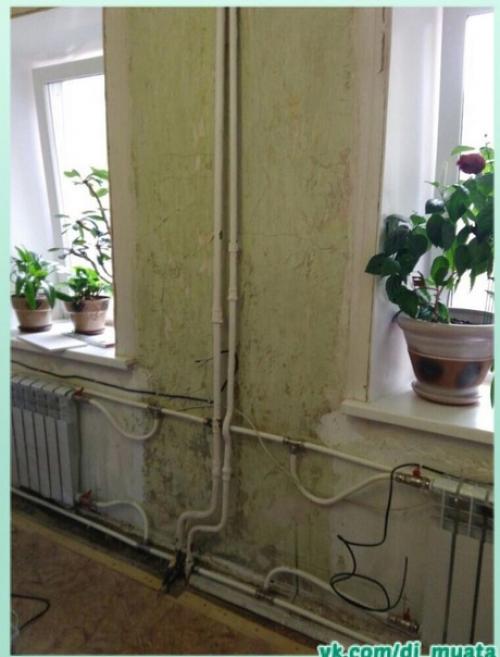 Необычная идея декора.