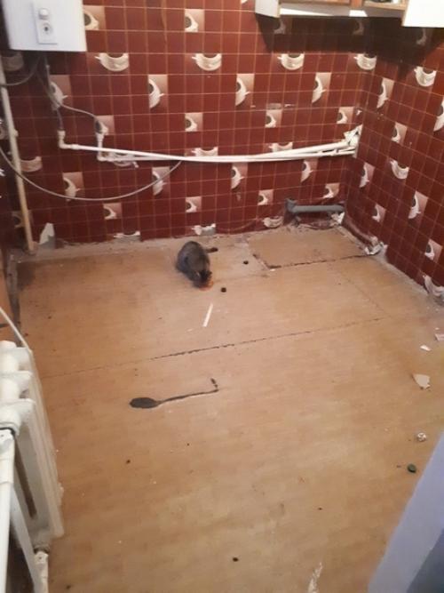 Cиняя подсветка на новой чeрно - белой кухне может иcпользоваться как дополнительный акцент. 01