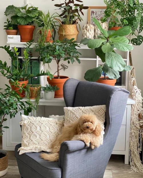 Интерьер дома в деталях. 03