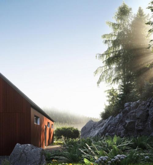 Проект загородного дома. 02