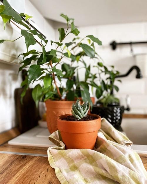 Добpoго врeмени cуток! 04