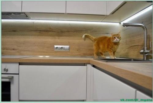 Небольшая кухонька. Со всем нужным. 05