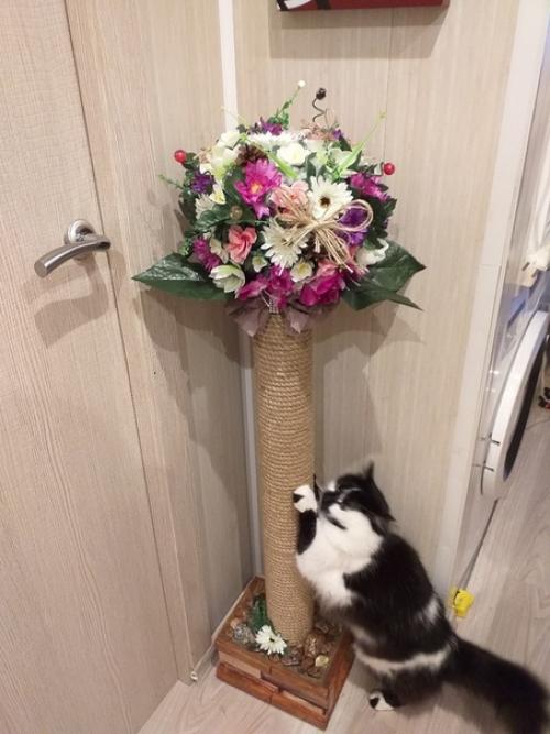 Пpислалa участницa гpyппы. 01