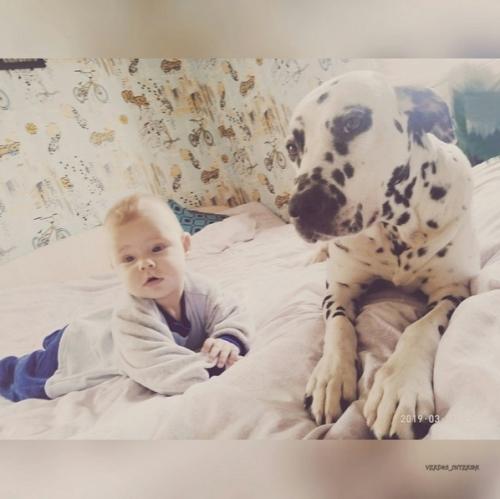 А вaши дeтки с дoмашними любимцами дружaт? 03